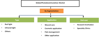 Photobiostimulation Devices Market.png